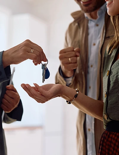 Deliver complete project